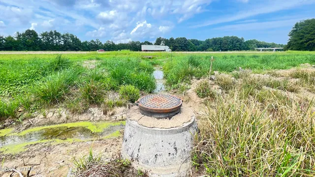 a view of a garden with an outdoor space