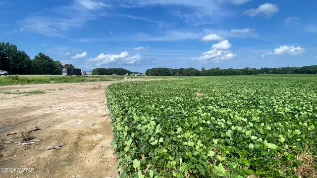 a view of a lake with a house in the background