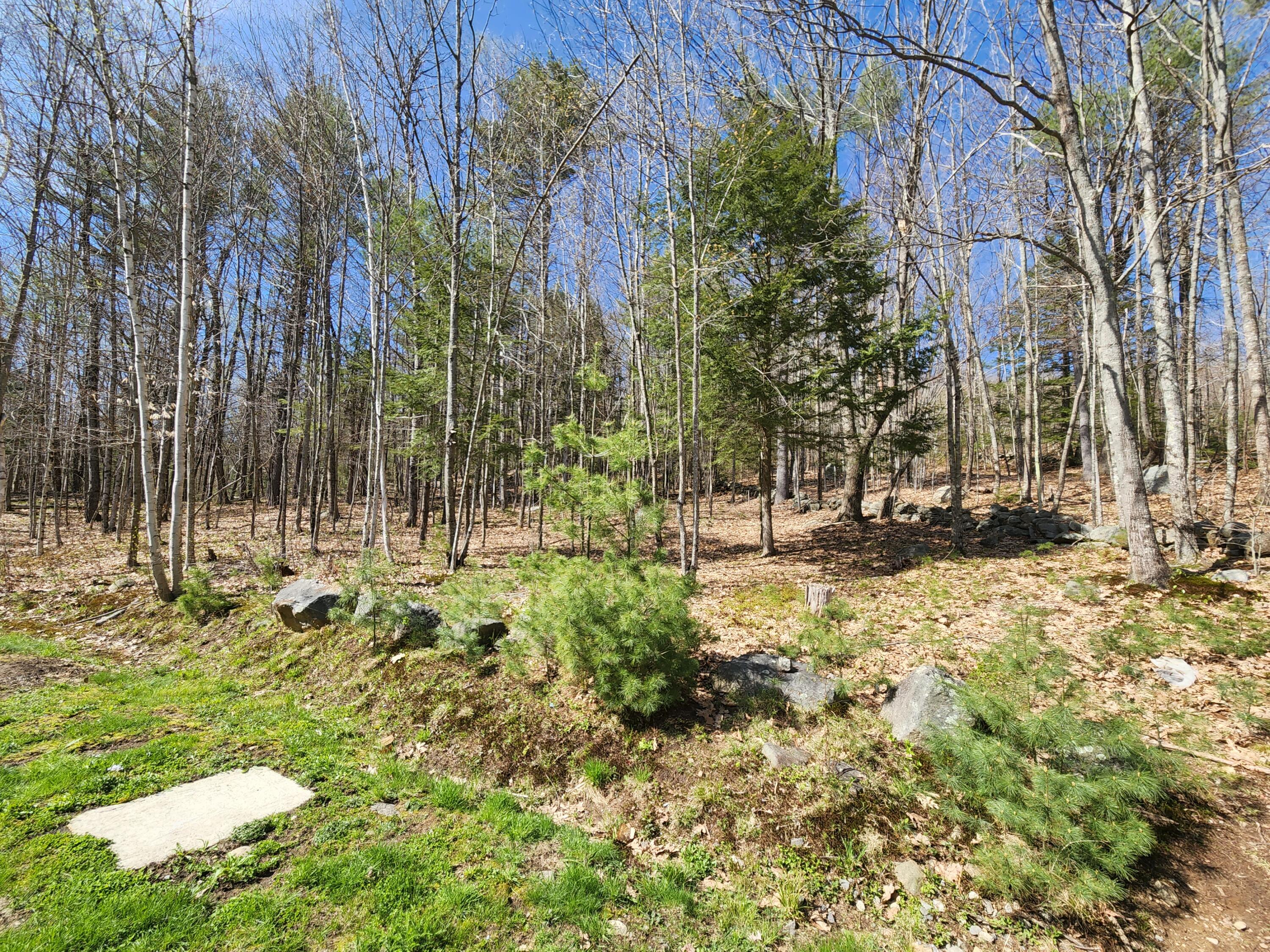 171 Maplecrest Road Parsonsfield, ME 04047 - Photo 27 of 33 20220505_153856