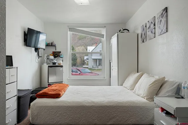 $988,000 | 754 Greene Street, Unit A B C D, Silverton, CO 81433