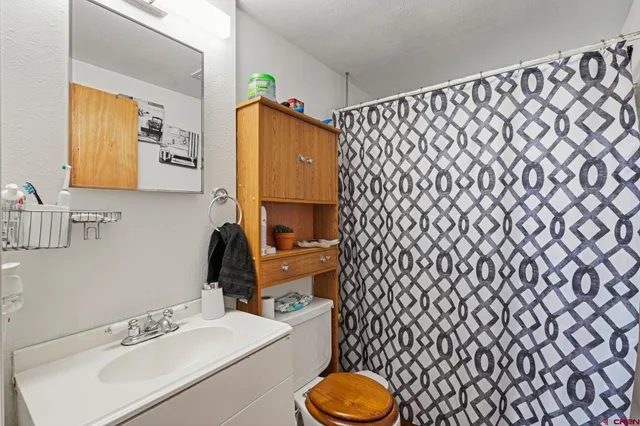 $988,000 | 754 Greene Street, Unit A B C D, Silverton, CO 81433