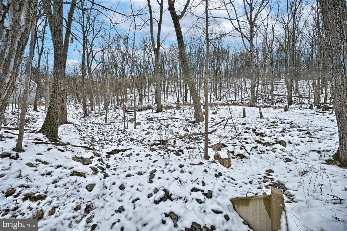 1171 Kuhn Road Boiling Springs, PA 17007 - Photo 3 of 16 Gallery Image 3