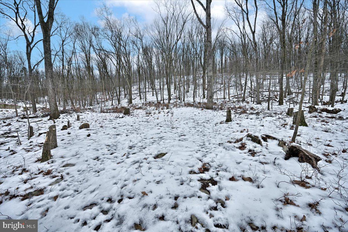 1171 Kuhn Road Boiling Springs, PA 17007 - Photo 4 of 16 Gallery Image 4