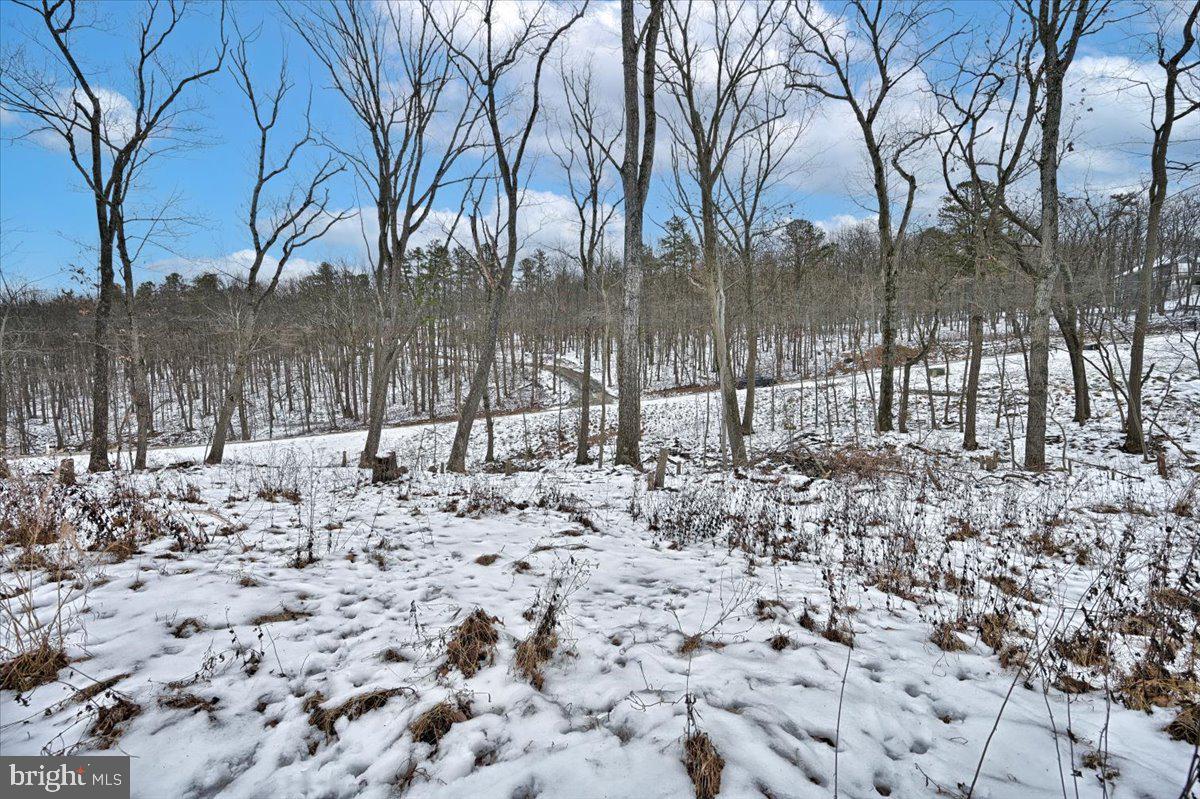 1171 Kuhn Road Boiling Springs, PA 17007 - Photo 5 of 16 Gallery Image 5