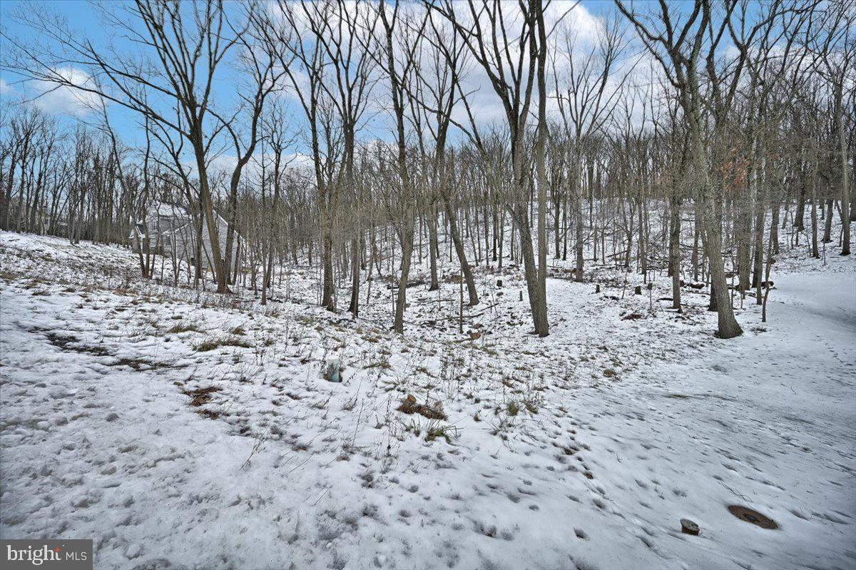 1171 Kuhn Road Boiling Springs, PA 17007 - Photo 8 of 16 Gallery Image 8
