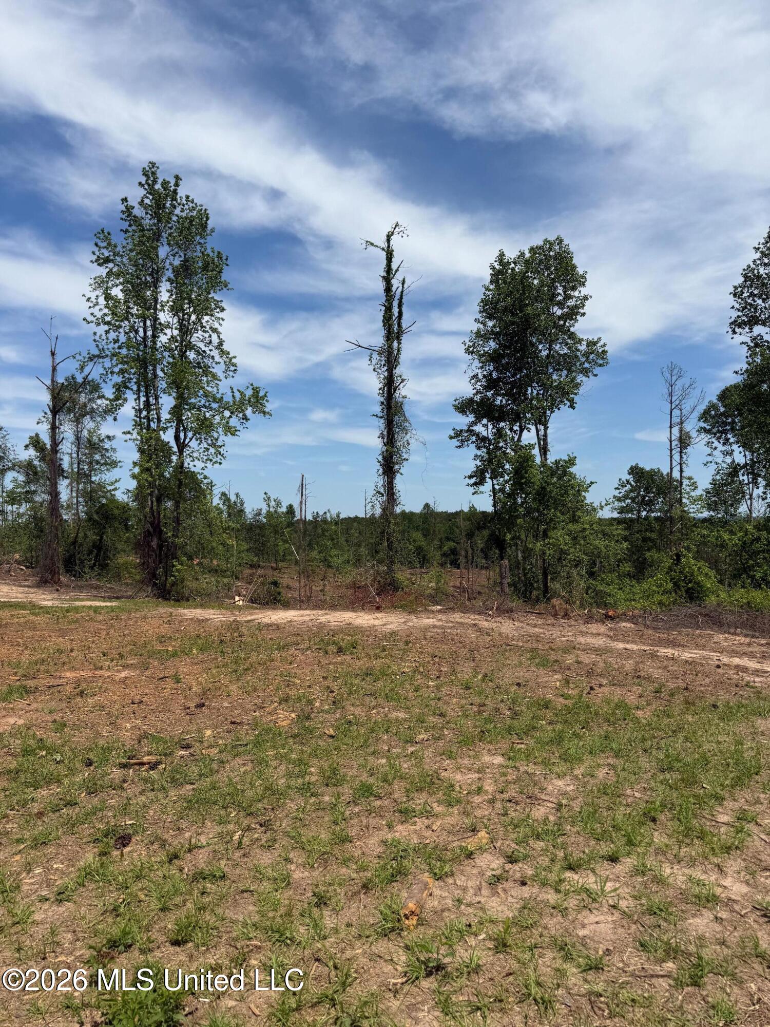 Air Control Station Road Meridian, MS 39307 - Photo 16 of 46 Photo Apr 20 2026, 1 17 02 PM