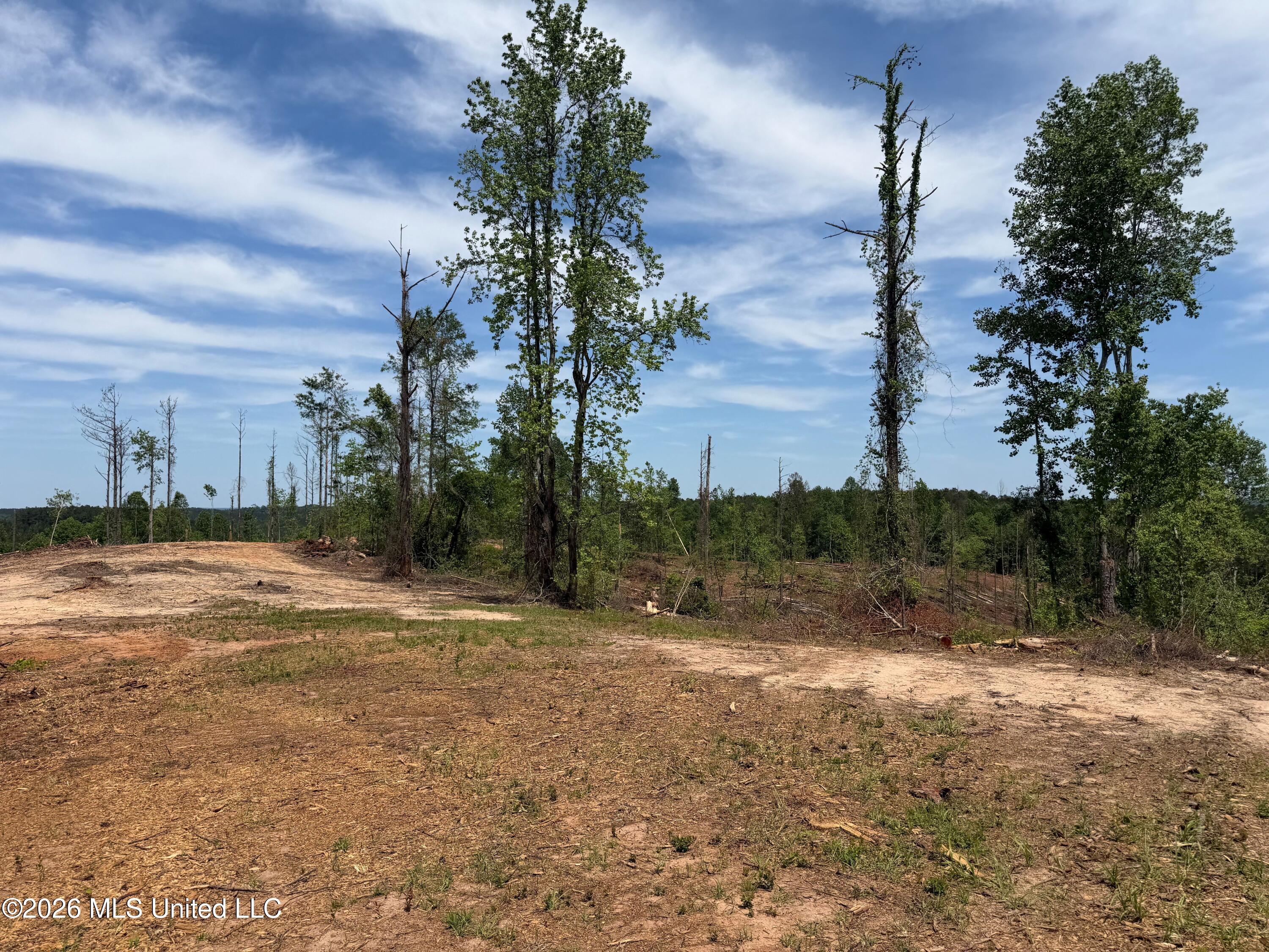 Air Control Station Road Meridian, MS 39307 - Photo 17 of 46 Photo Apr 20 2026, 1 17 06 PM