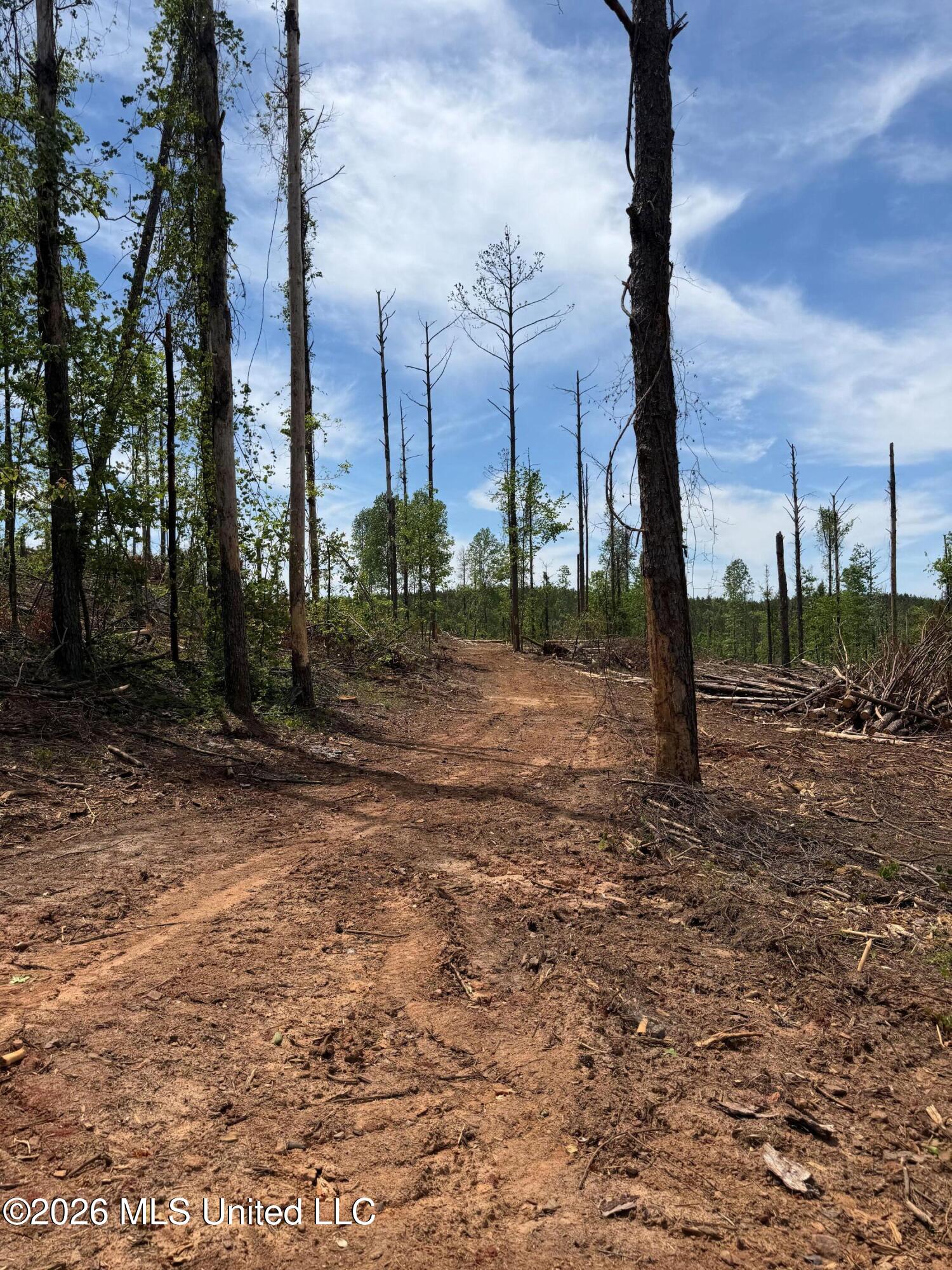 Air Control Station Road Meridian, MS 39307 - Photo 23 of 46 Photo Apr 20 2026, 1 20 48 PM
