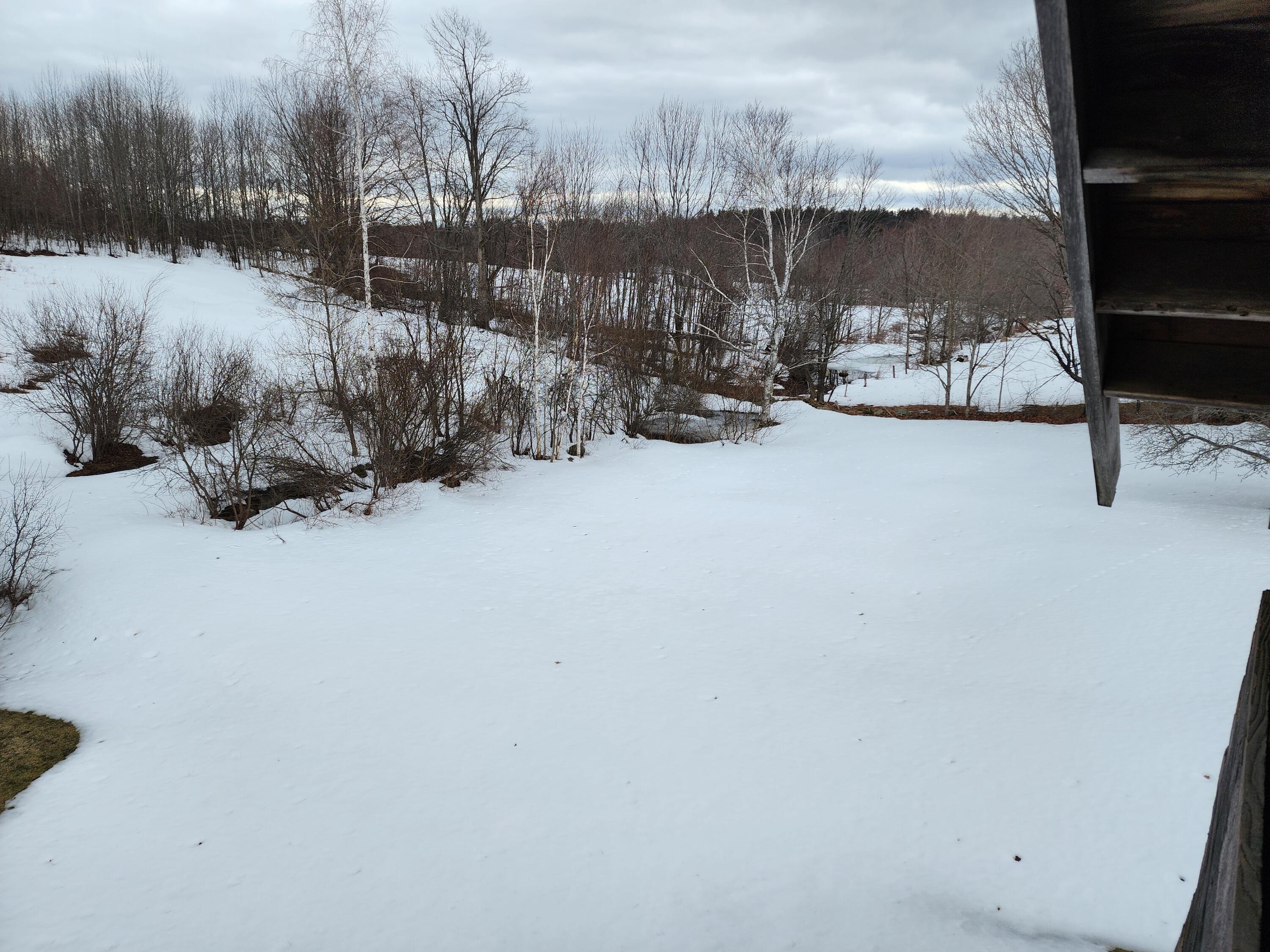207 Macomber Hill Road Jay, ME 04239 - Photo 8 of 42 20230324_092909