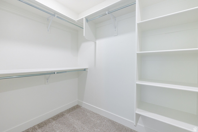4741 Olive Avenue, Unit 406 Mapleton, UT 84664 - Photo 13 of 20 Walk in closet featuring light carpet