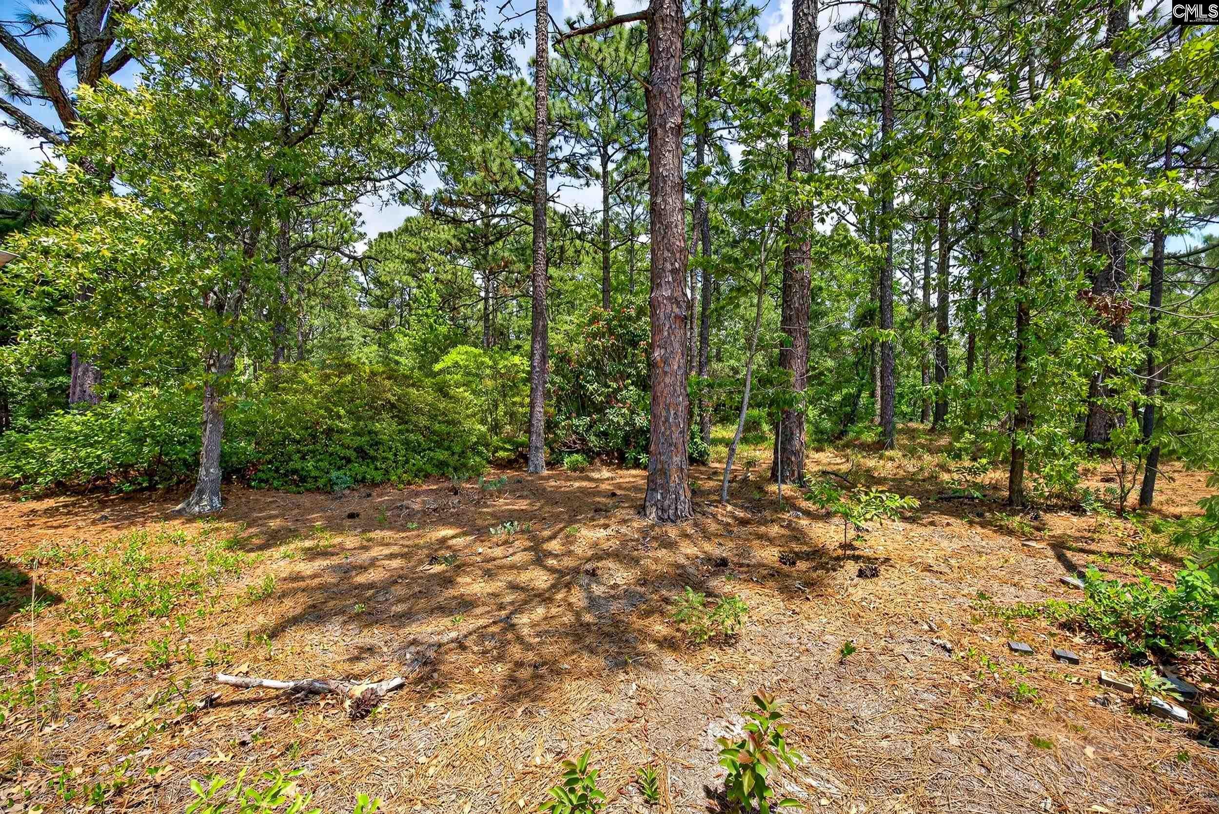614 Longs Pond Road Lexington, SC 29073 - Photo 74 of 74