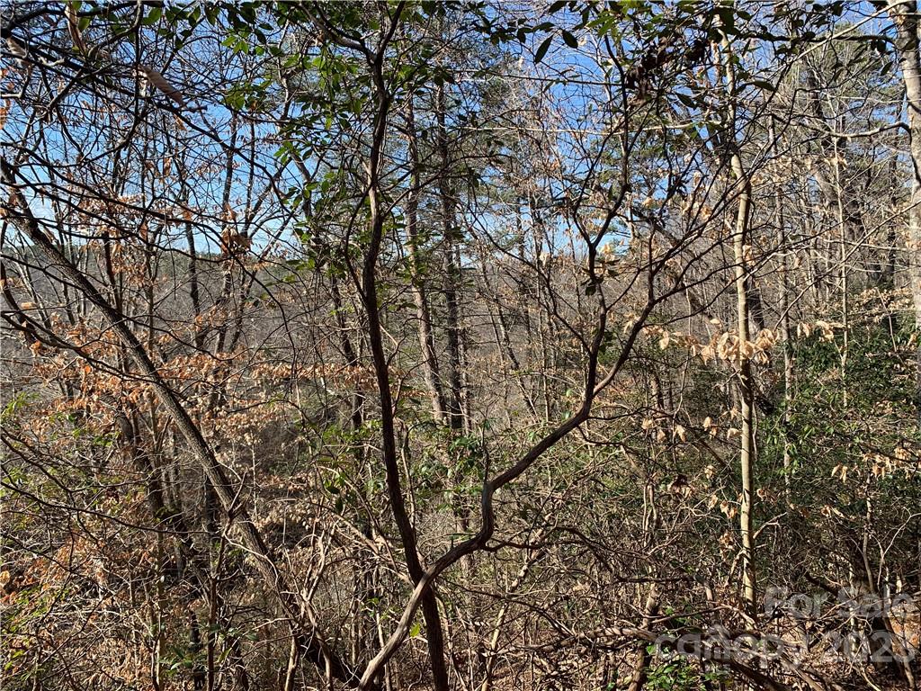 4713 Delight Road Lawndale, NC 28090 - Photo 11 of 12 Gallery Image 11
