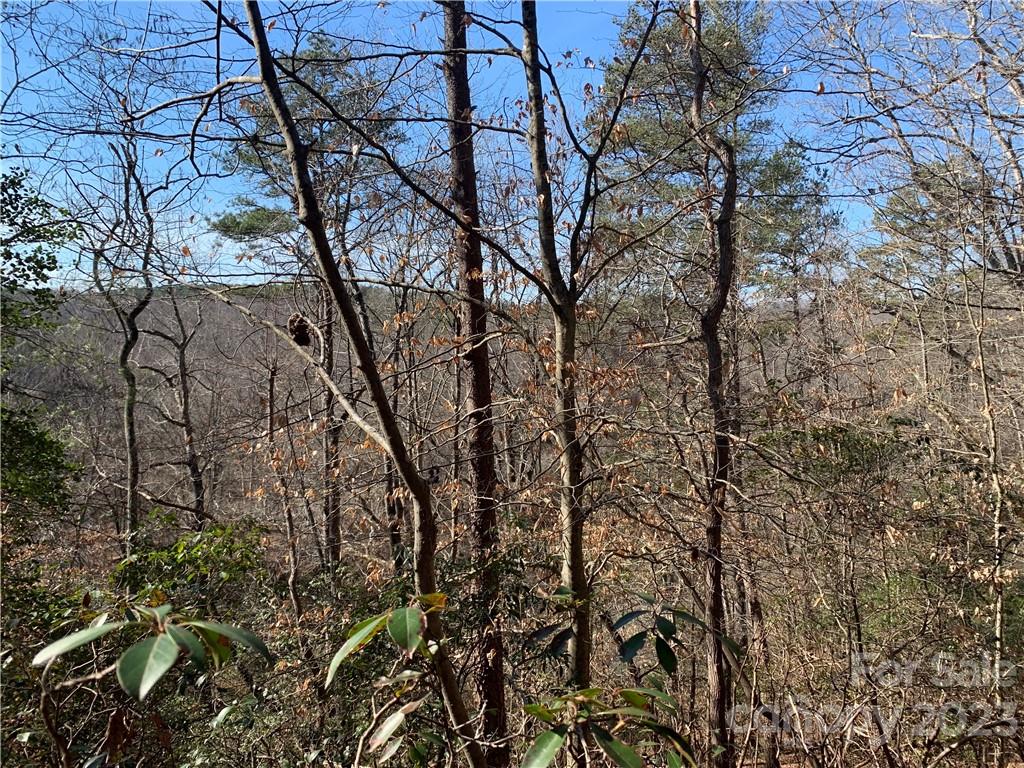 4713 Delight Road Lawndale, NC 28090 - Photo 12 of 12 Gallery Image 12