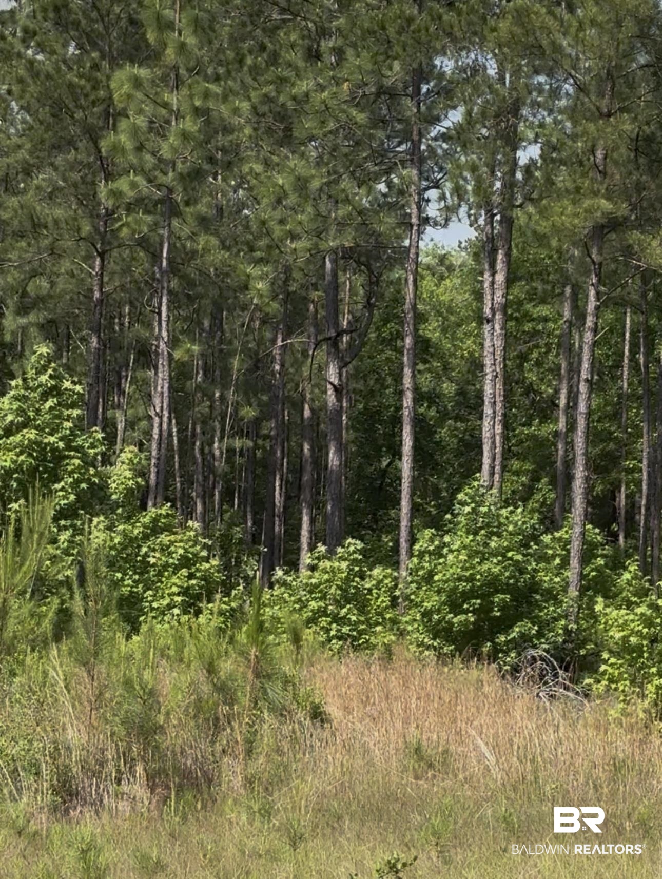 0 George Thomley Road Perdido, AL 36562 - Photo 5 of 7