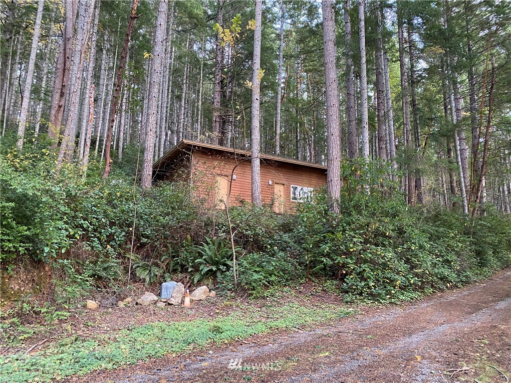 370 Pulali Point Road Brinnon, WA 98320 - Photo 4 of 29