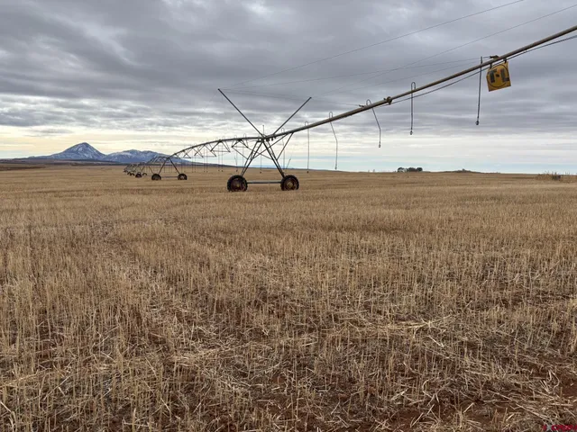 $625,000 | 18976 Road 15 Yellow Jacket Co 81335, Yellow Jacket, CO 81335