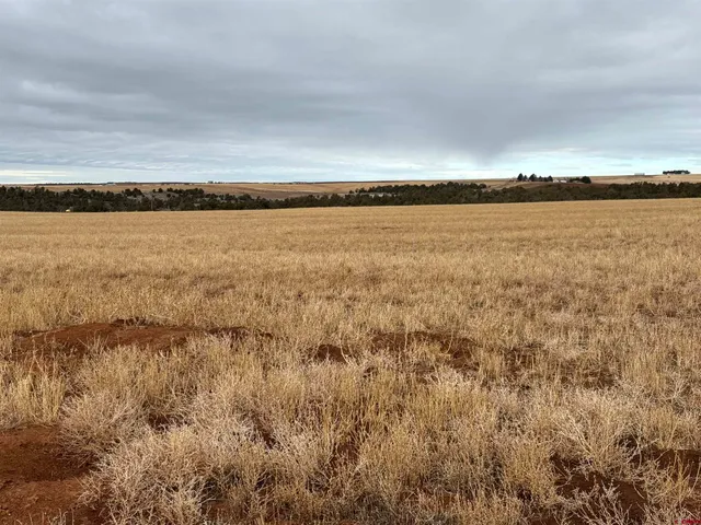 $625,000 | 18976 Road 15 Yellow Jacket Co 81335, Yellow Jacket, CO 81335