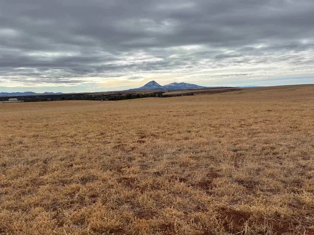 $625,000 | 18976 Road 15 Yellow Jacket Co 81335, Yellow Jacket, CO 81335