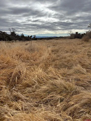 $625,000 | 18976 Road 15 Yellow Jacket Co 81335, Yellow Jacket, CO 81335