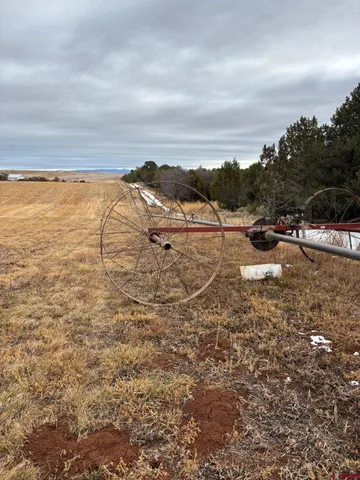 $625,000 | 18976 Road 15 Yellow Jacket Co 81335, Yellow Jacket, CO 81335