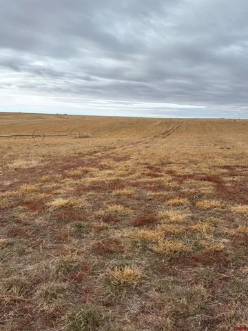 $625,000 | 18976 Road 15 Yellow Jacket Co 81335, Yellow Jacket, CO 81335