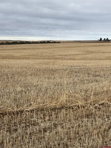 $625,000 | 18976 Road 15 Yellow Jacket Co 81335, Yellow Jacket, CO 81335