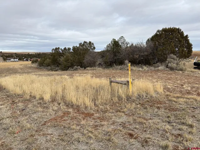$625,000 | 18976 Road 15 Yellow Jacket Co 81335, Yellow Jacket, CO 81335