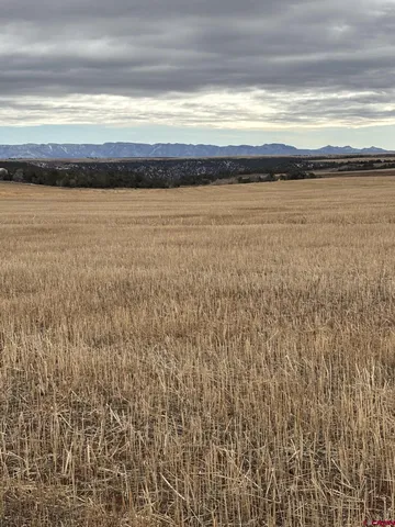 $625,000 | 18976 Road 15 Yellow Jacket Co 81335, Yellow Jacket, CO 81335