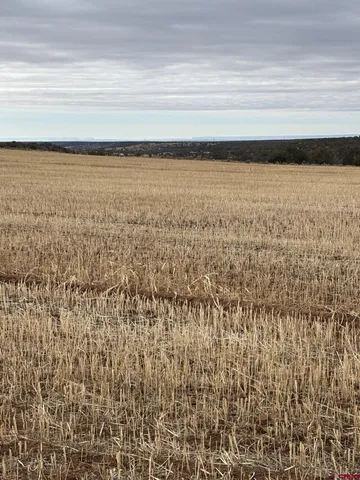 $625,000 | 18976 Road 15 Yellow Jacket Co 81335, Yellow Jacket, CO 81335