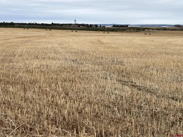 $625,000 | 18976 Road 15 Yellow Jacket Co 81335, Yellow Jacket, CO 81335