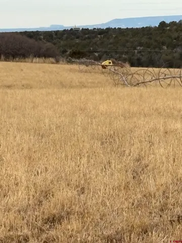 $625,000 | 18976 Road 15 Yellow Jacket Co 81335, Yellow Jacket, CO 81335