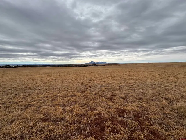 $625,000 | 18976 Road 15 Yellow Jacket Co 81335, Yellow Jacket, CO 81335