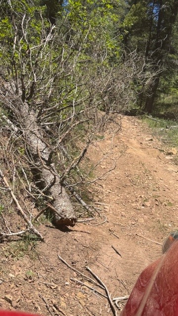 Tbd Tbd Sawyer Mesa Road Tererro, NM 87573 - Photo 24 of 56 Gallery Image 24