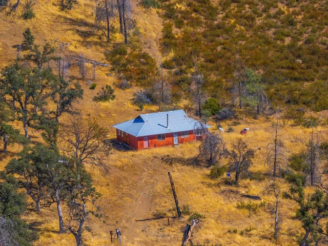a view of a dry yard