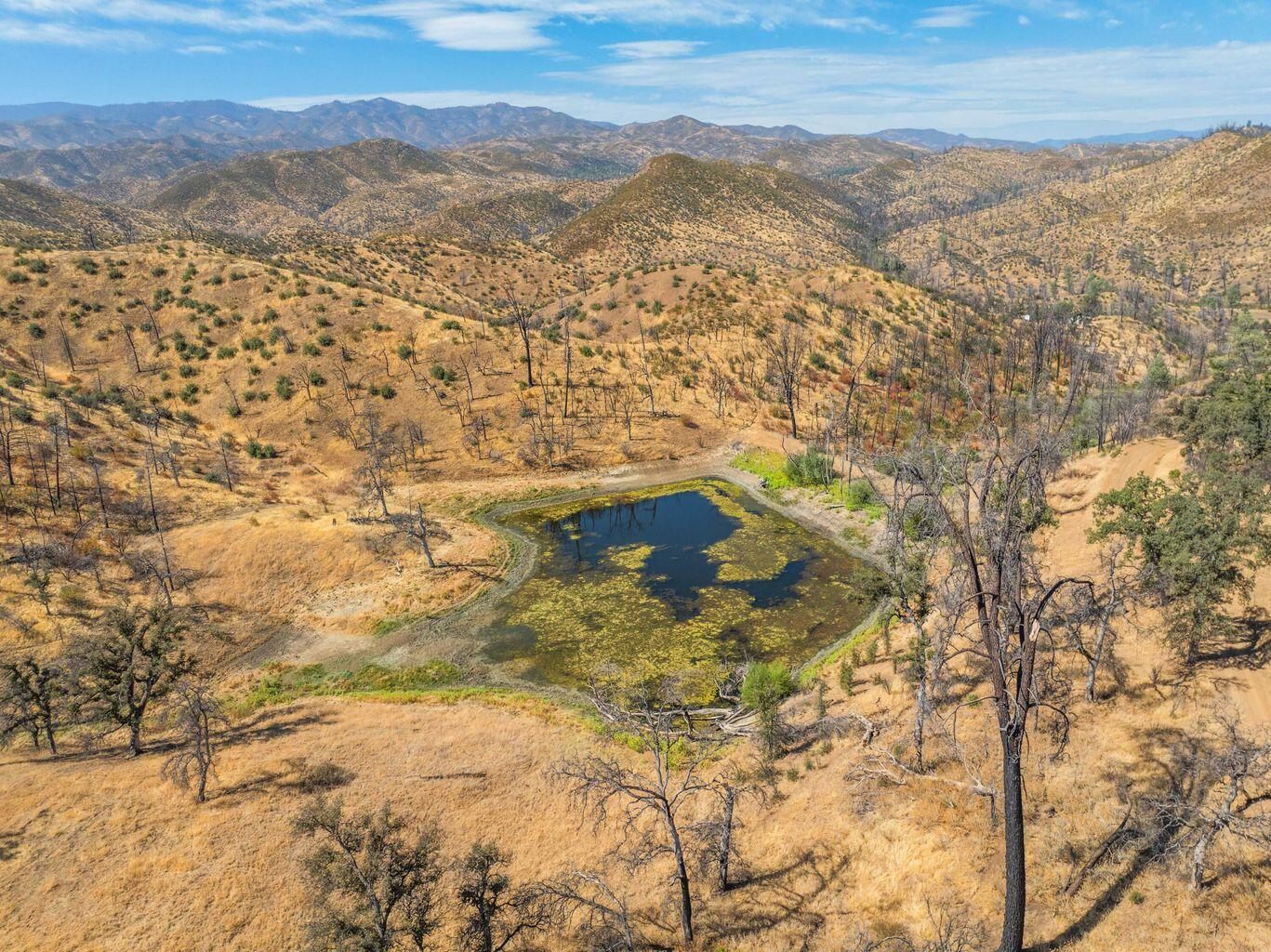 0 Vestal Road Platina, CA 96076 - Photo 29 of 34