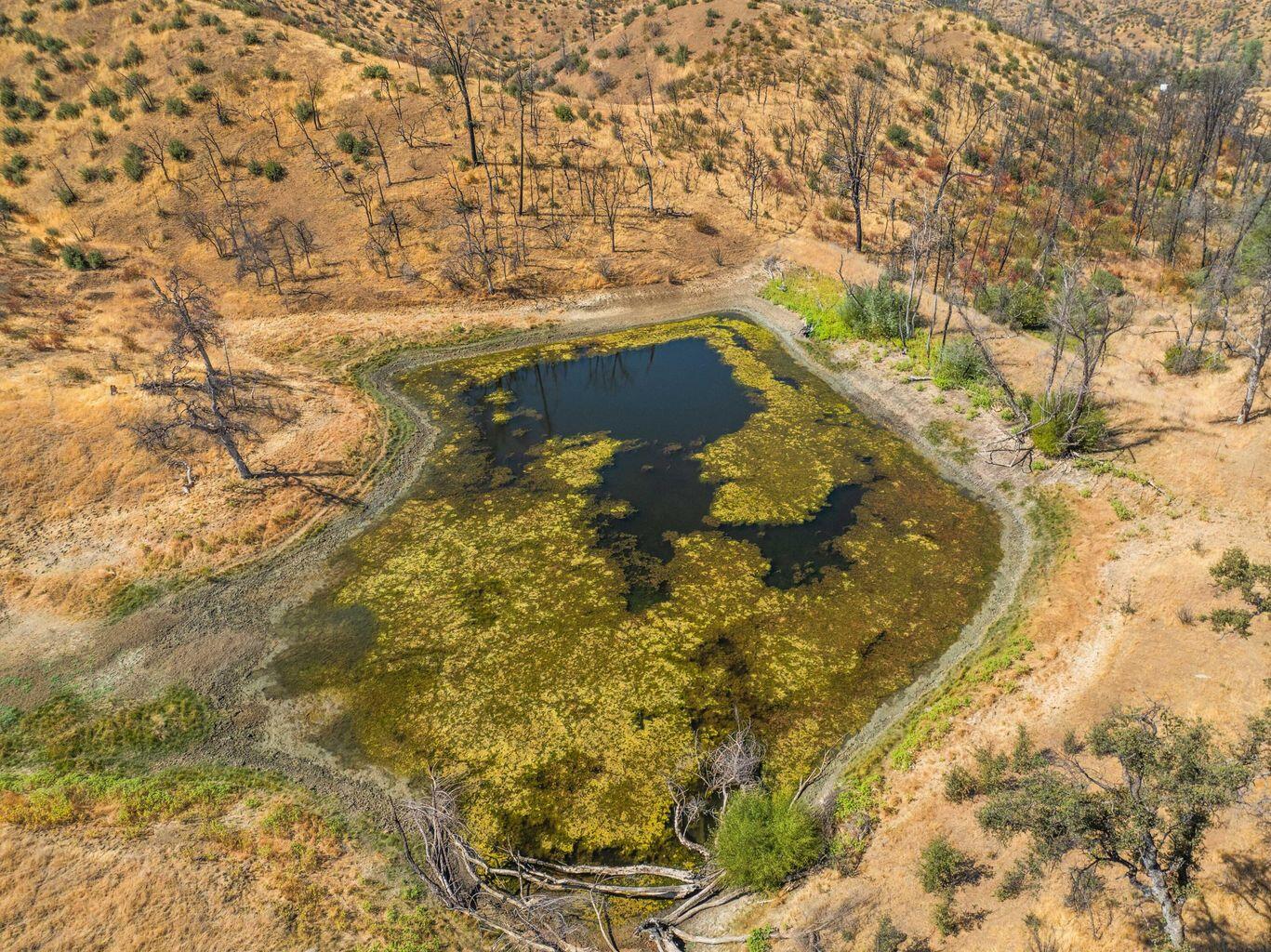 0 Vestal Road Platina, CA 96076 - Photo 30 of 34