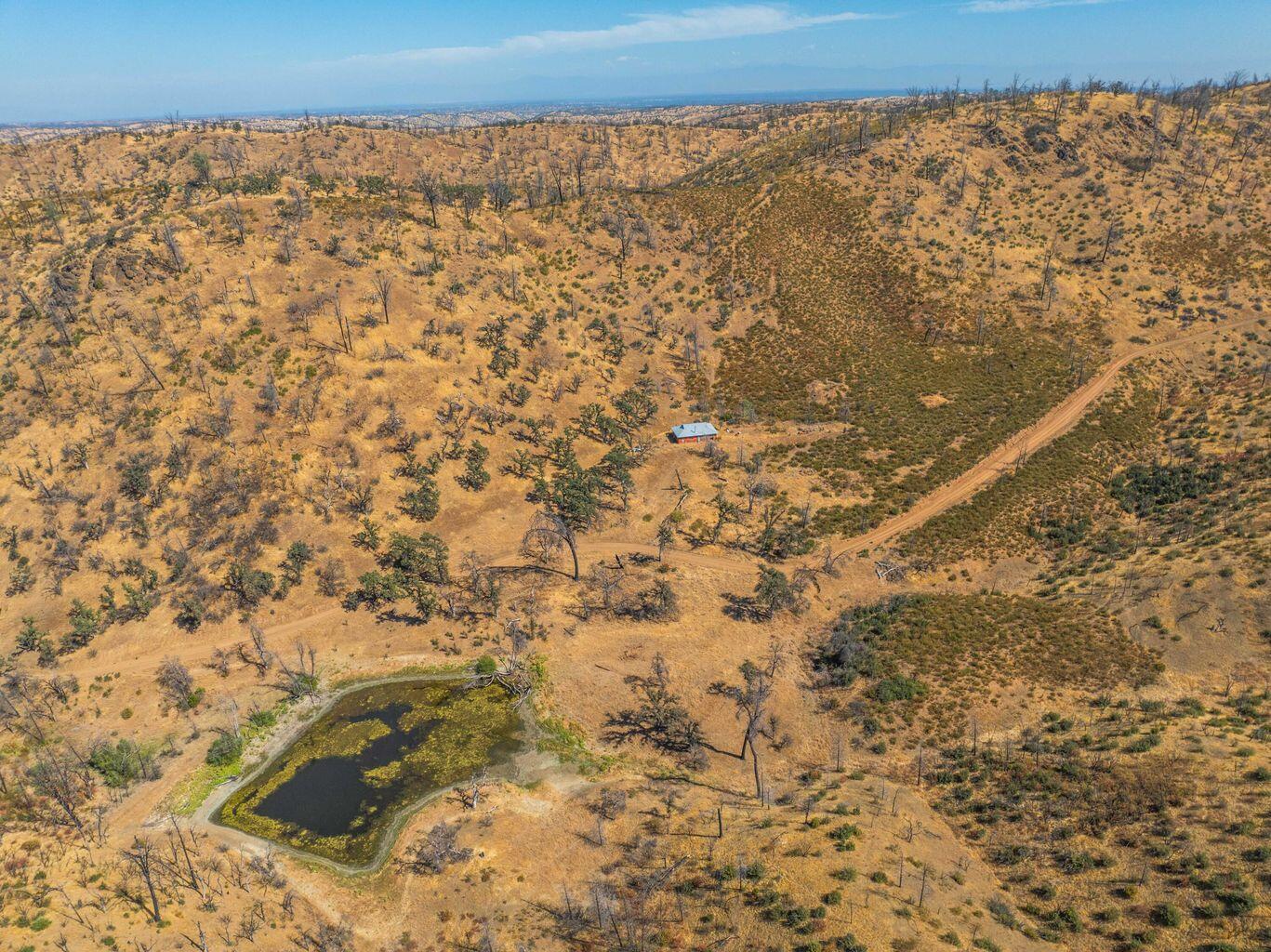 0 Vestal Road Platina, CA 96076 - Photo 31 of 34 a view of a dry yard