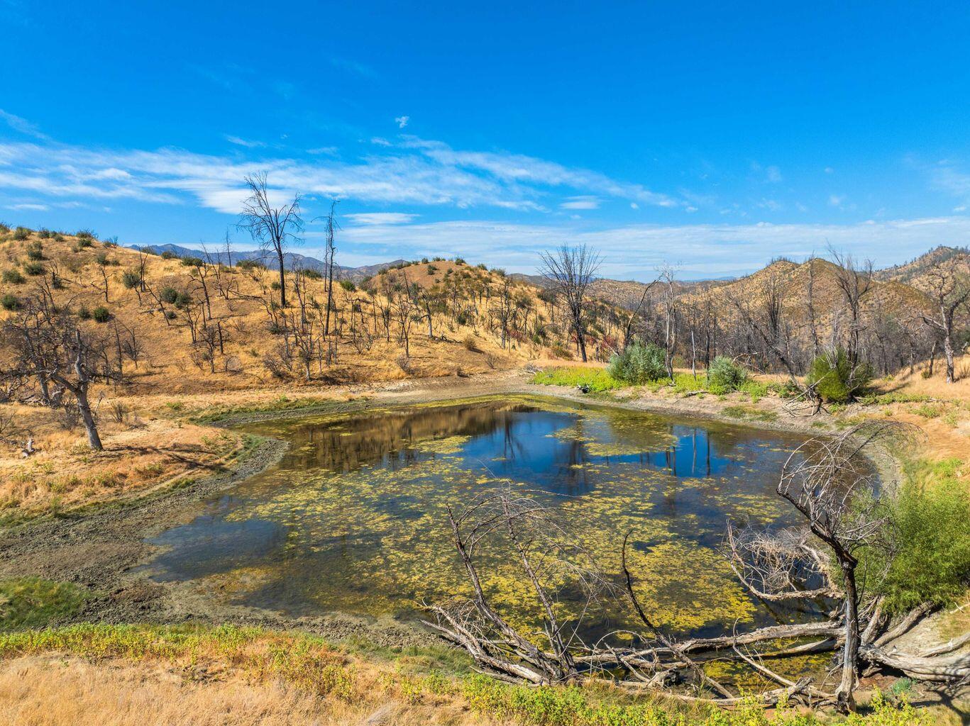 0 Vestal Road Platina, CA 96076 - Photo 6 of 34 a view of lake view