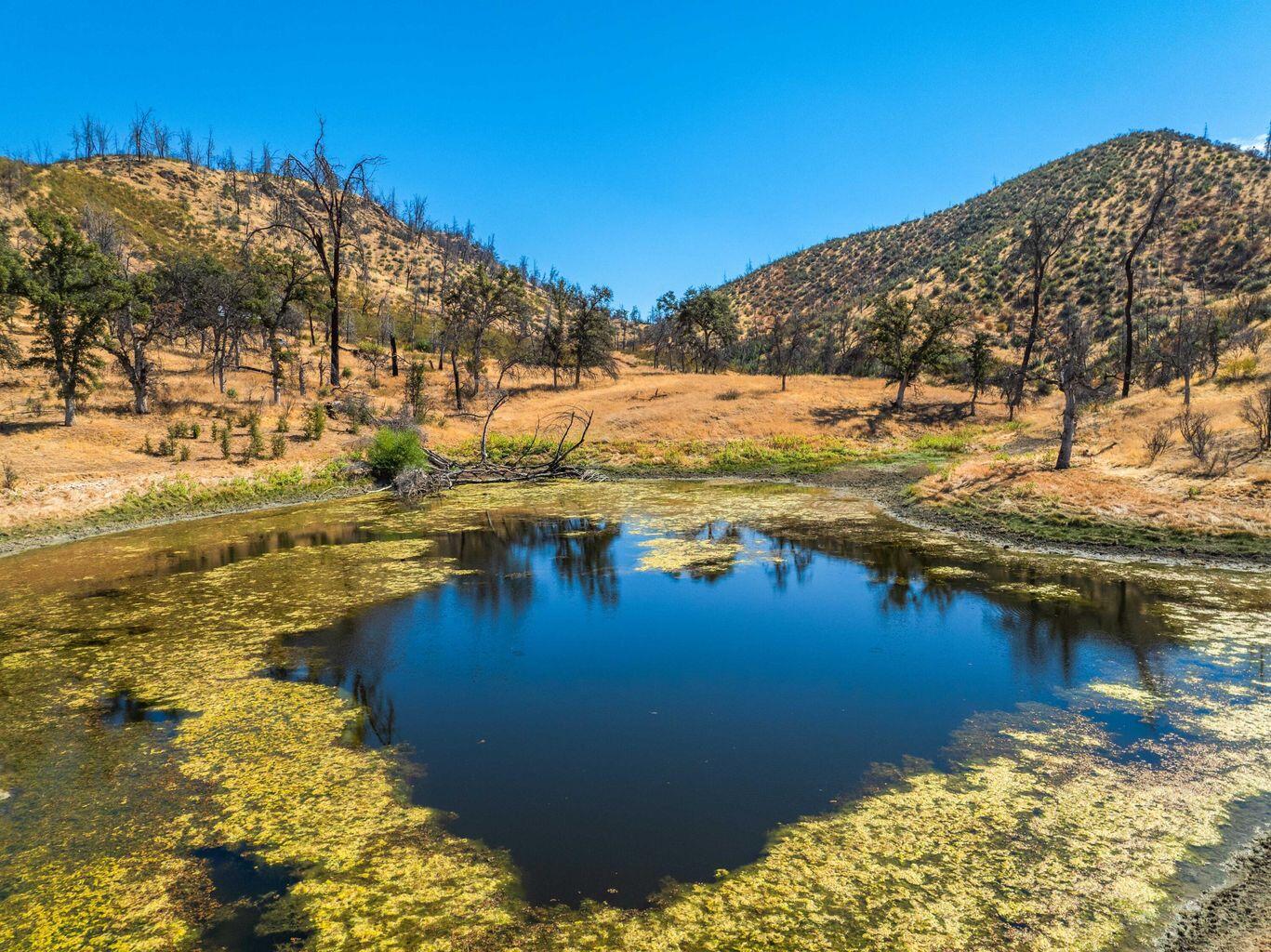 0 Vestal Road Platina, CA 96076 - Photo 7 of 34 a view of a lake with a building in the background