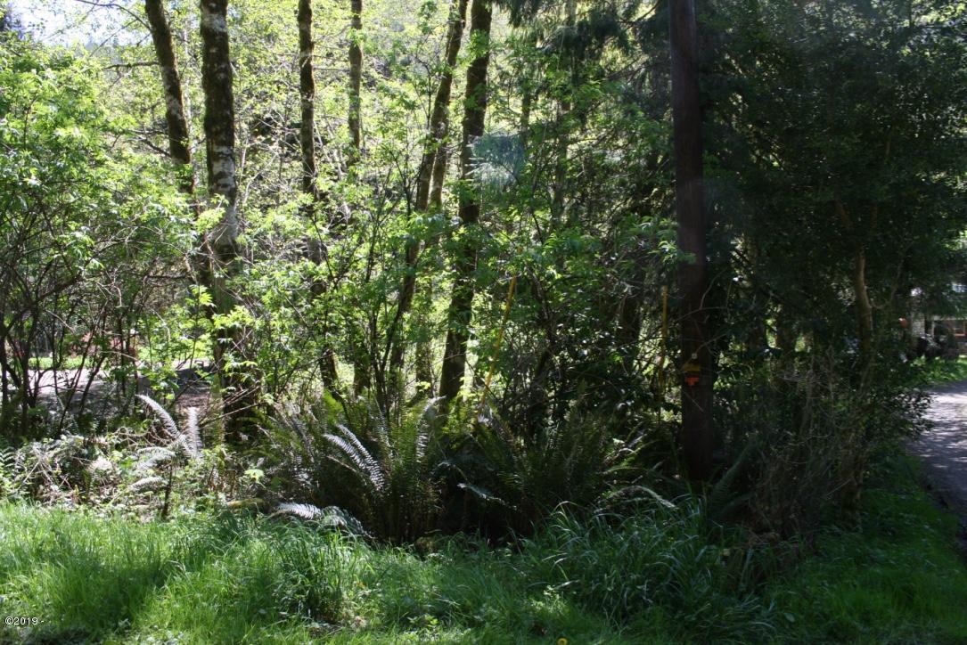 2600 North New Bridge Road Otis, OR 97368 - Photo 4 of 6 You Can Hear the Creek Babbling