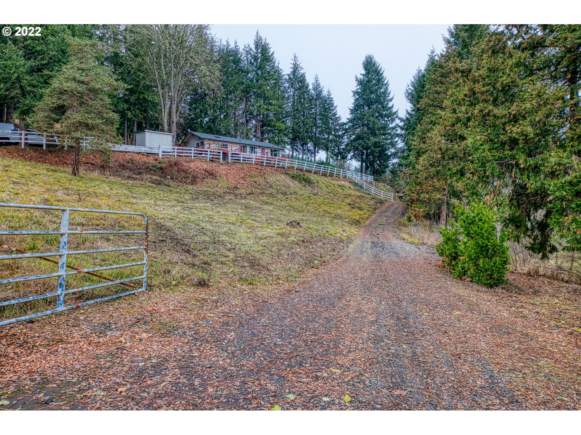85903 Bailey Hill Road Eugene, OR 97405 - Photo 25 of 27 a view of a backyard with trees