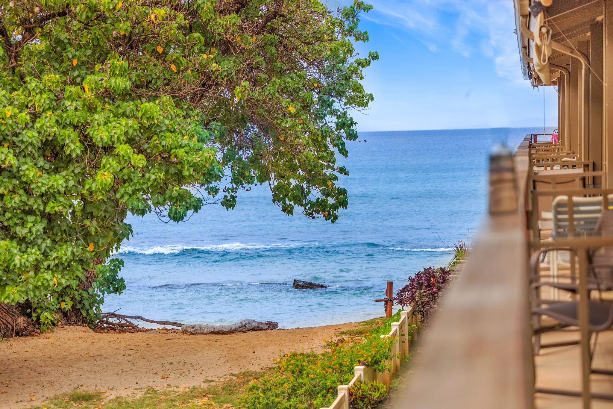 3691 Lower Honoapiilani Road, Unit 211 Lahaina, HI 96761 - Photo 34 of 47 a view of a yard with an outdoor space