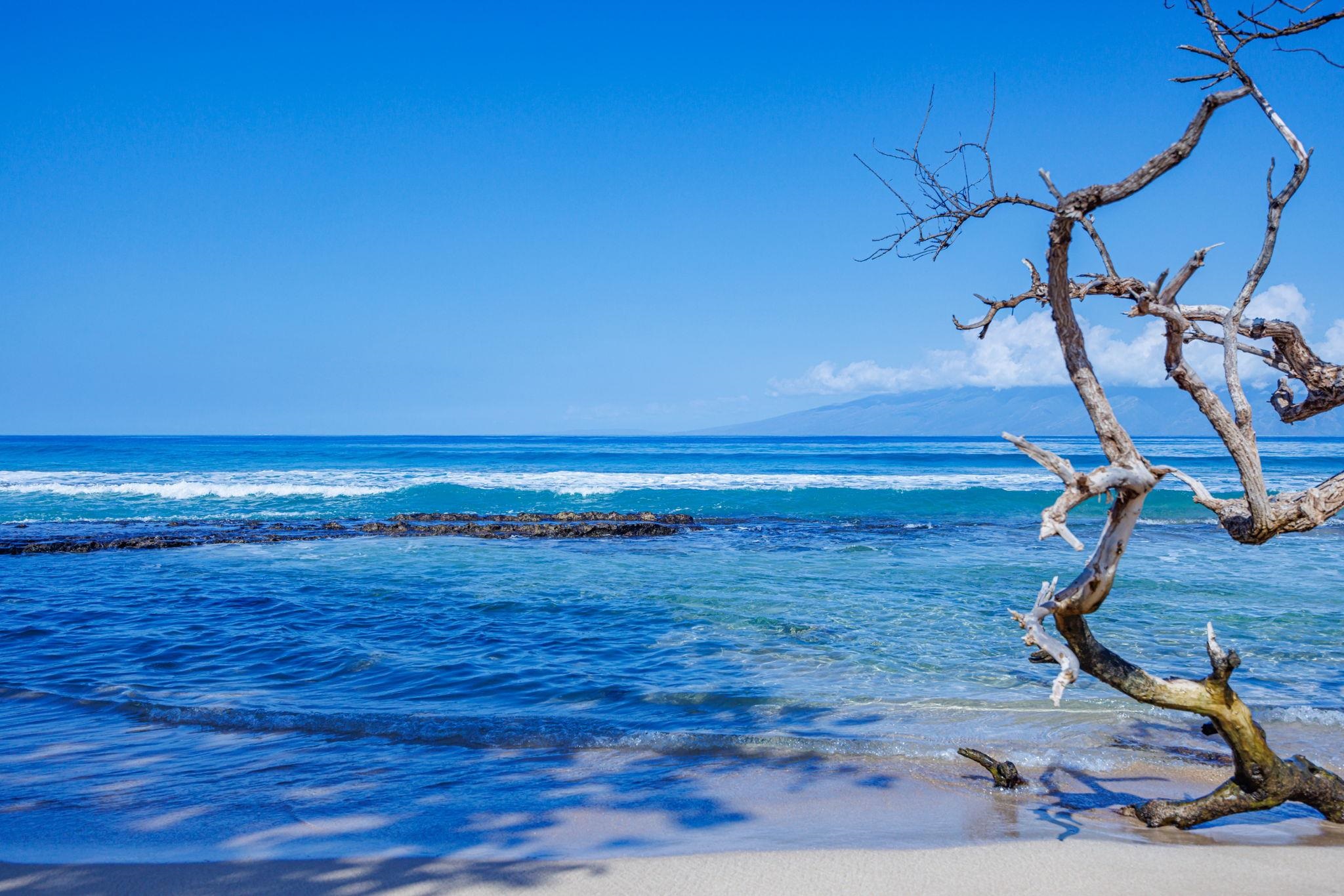 3691 Lower Honoapiilani Road, Unit 211 Lahaina, HI 96761 - Photo 42 of 47 a view of a room with wooden floor