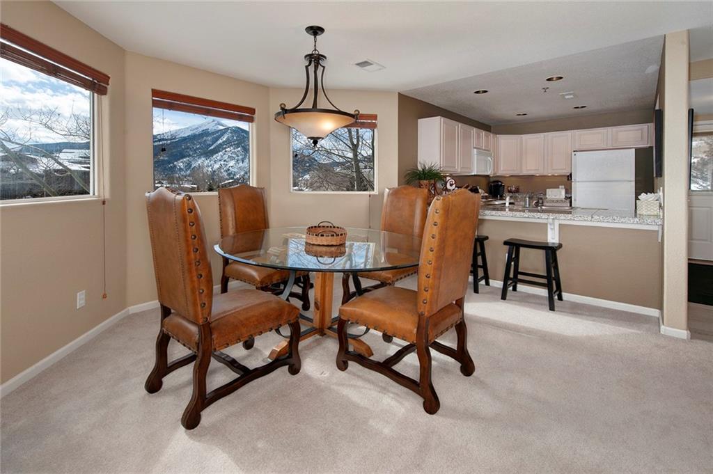 112 Beaver Lodge Road, Unit 210 Frisco, CO 80443 - Photo 2 of 35 Gallery Image 2