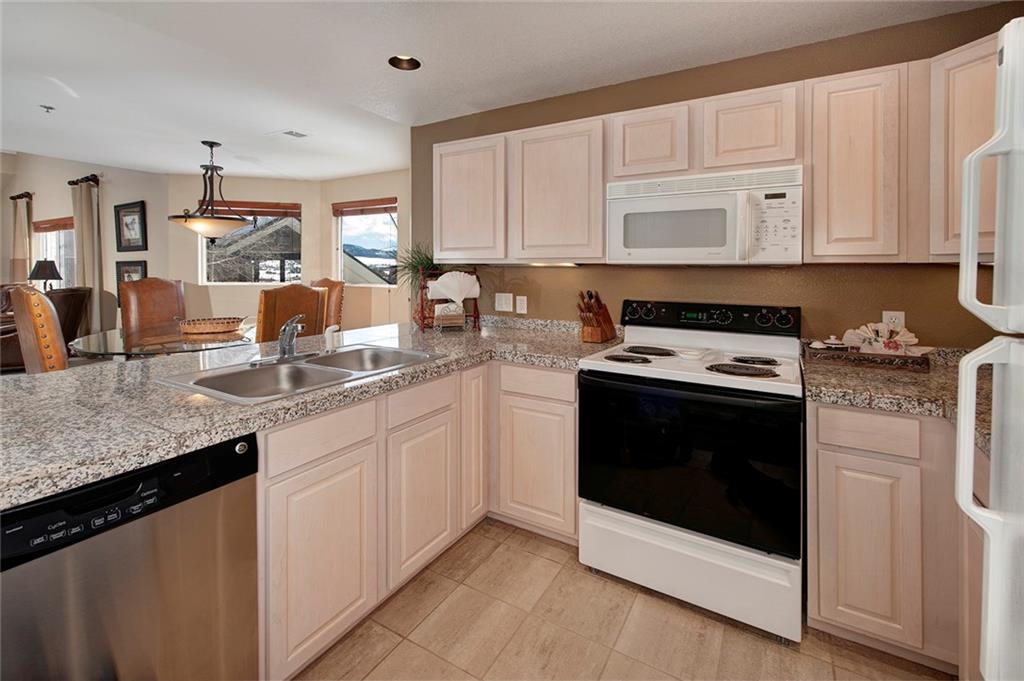 112 Beaver Lodge Road, Unit 210 Frisco, CO 80443 - Photo 4 of 35 Gallery Image 4