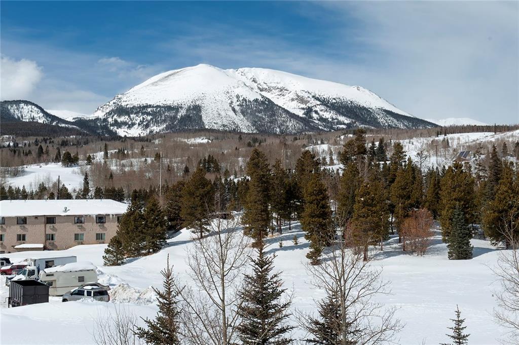 112 Beaver Lodge Road, Unit 210 Frisco, CO 80443 - Photo 31 of 35 Gallery Image 31
