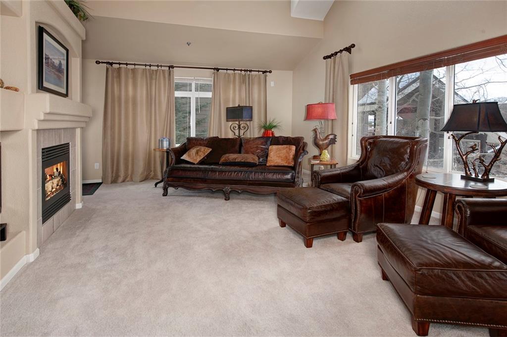 112 Beaver Lodge Road, Unit 210 Frisco, CO 80443 - Photo 7 of 35 Gallery Image 7