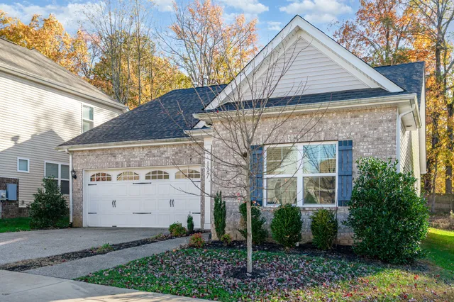 a view of a white house with a small yard and a large tree
