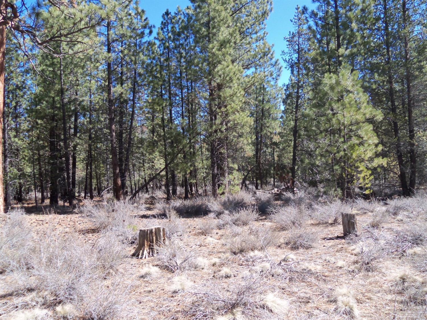 2509 Power Line Road La Pine, OR 97739 - Photo 10 of 12 Additional Photo