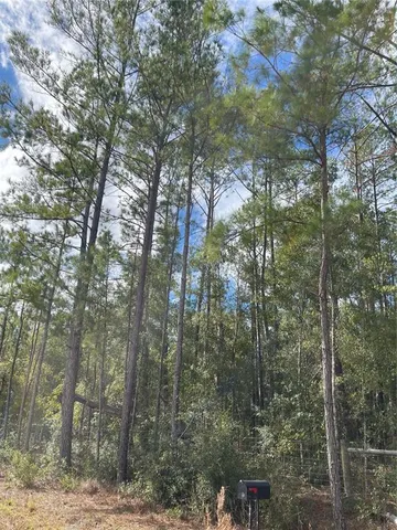 $100,000 | 15635 97th Drive, Live Oak, FL 32060